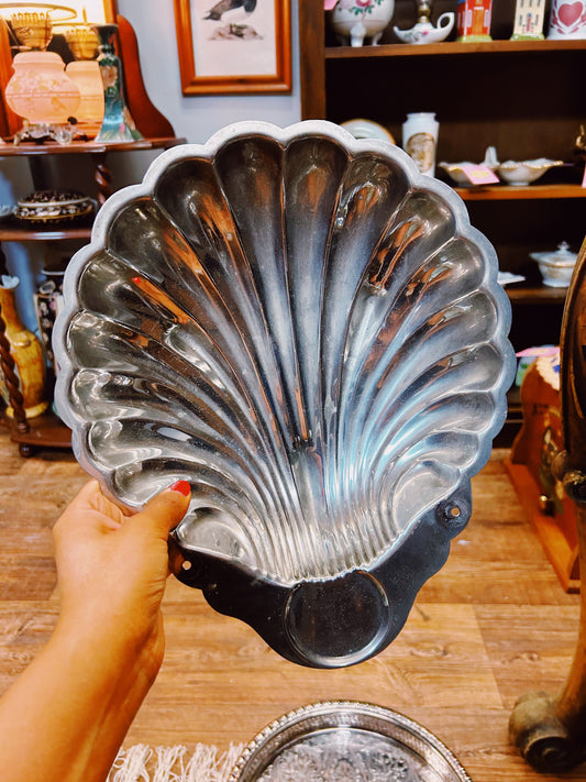 Silver Shell