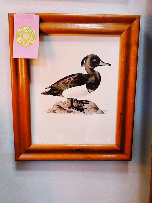Duck Print
