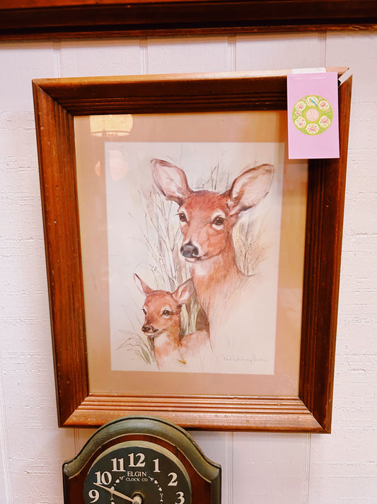 Fawn Picture