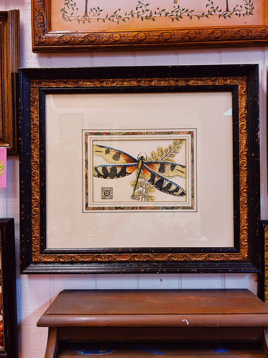 Dragonfly Picture