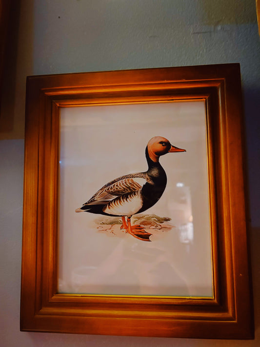 Duck Print