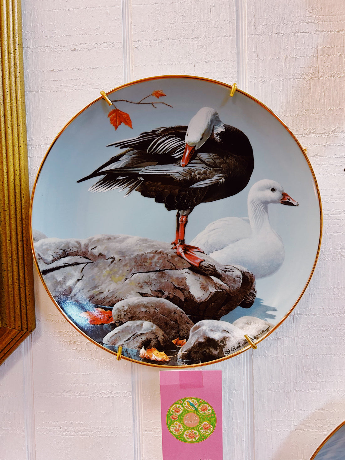 Duck Plate